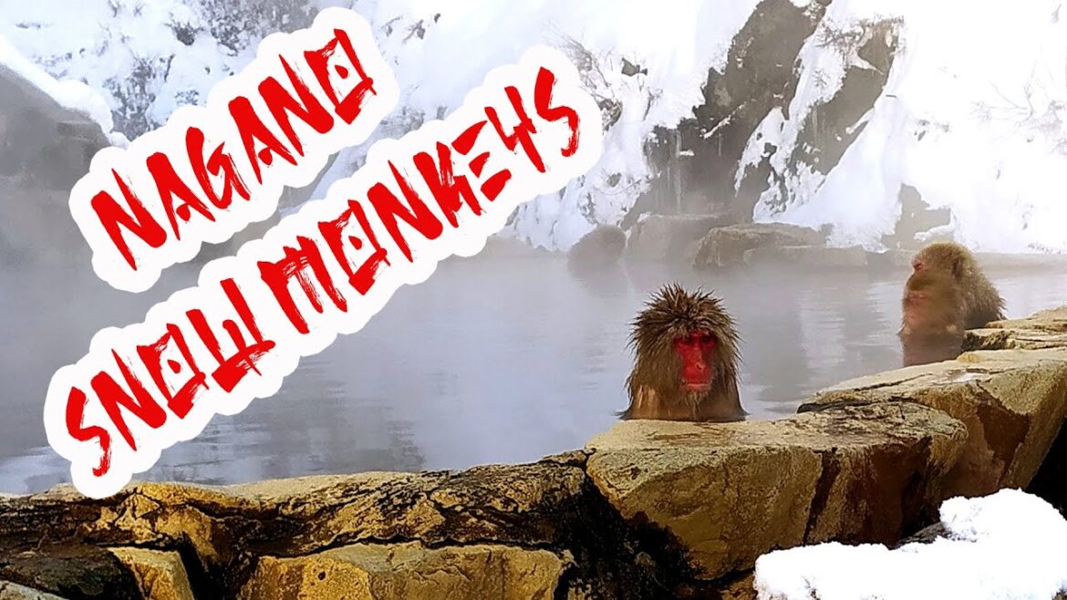 Ταξιδέψτε μαζί μου στην Ιαπωνία: Nagano (Karuizawa, Obuse, Snow Monkeys) Ταξιδέψτε μαζί μου στην Ιαπωνία: Nagano (Karuizawa, Obuse, Snow Monkeys)