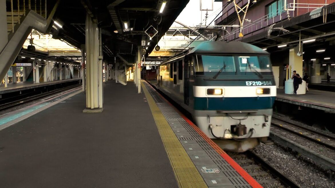 JR千葉駅を通過する貨物列車 (EF210系電気機関車 牽引) JR千葉駅を通過する貨物列車 (EF210系電気機関車 牽引)