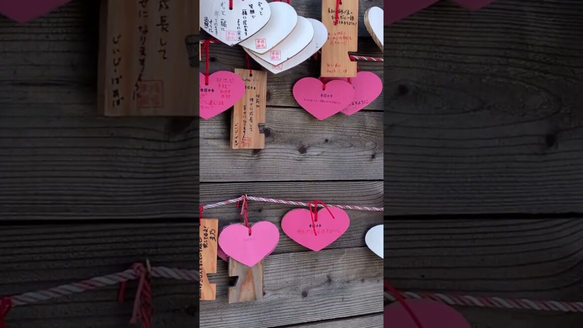 Visitaré a la estación de Kofuku (felicidad) 5: Hokkaido, Japón #shorts Visitaré a la estación de Kofuku (felicidad) 5: Hokkaido, Japón #shorts