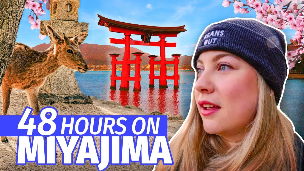 You HAVE TO visit this JAPANESE island | 48 hours on Miyajima, Japan with @sharlainjapan