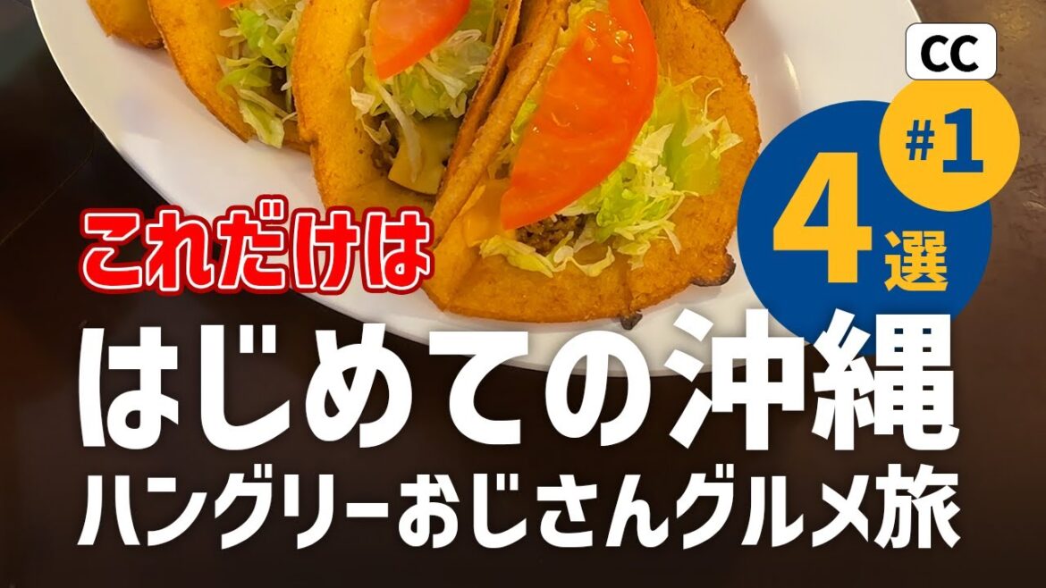 【はじめての沖縄01】おじさんグルメ旅/沖縄そば/タコス/メキシコ/かき氷/おじさん/那覇/恩納村/観光/okinawa/trip/vlog 【はじめての沖縄01】おじさんグルメ旅/沖縄そば/タコス/メキシコ/かき氷/おじさん/那覇/恩納村/観光/okinawa/trip/vlog