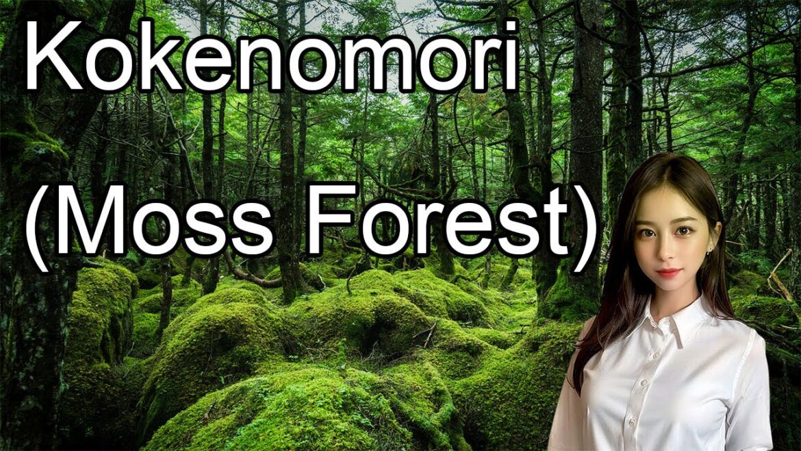 Nature in Japan, Kokenomori (Moss Forest) Nature in Japan, Kokenomori (Moss Forest)