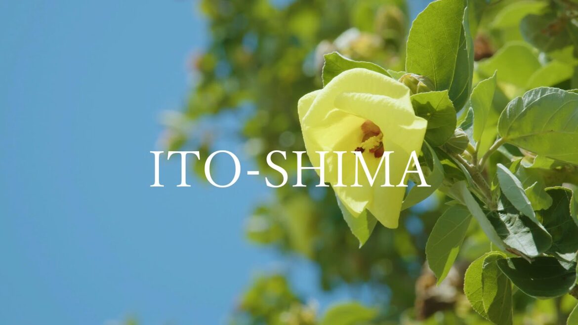 梅雨から夏の風景～糸島10秒動画～