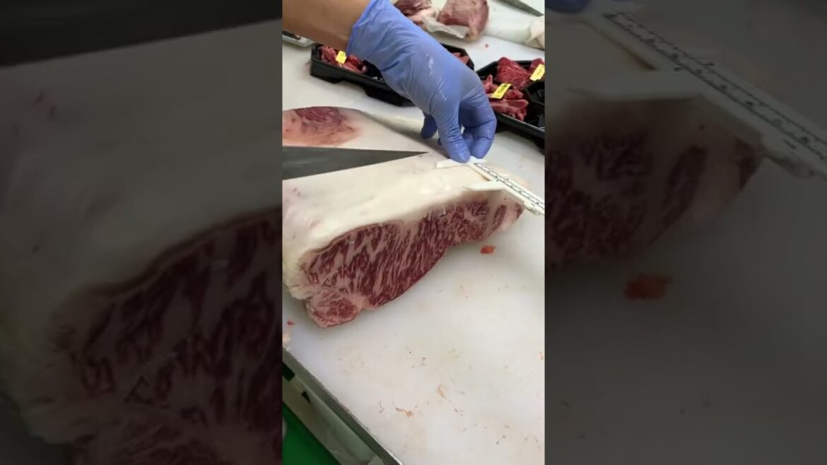 Portioning a Wagyu Striploin | WAKAYAMA, Japan Portioning a Wagyu Striploin | WAKAYAMA, Japan