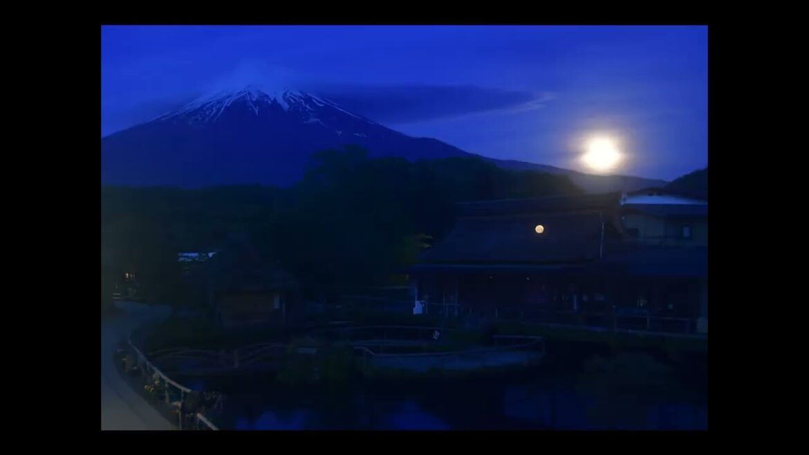 cam16忍野八海富士山ライブカメラのタイムラプス2023 5