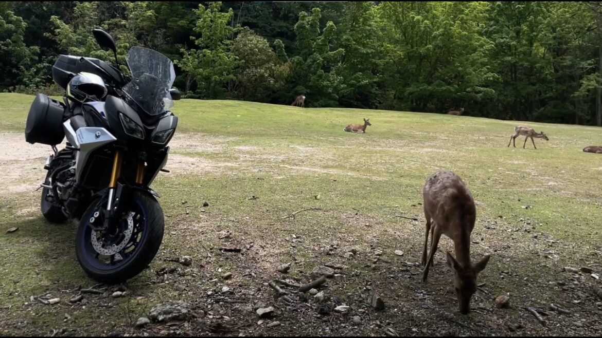 Itsukushima Island. Mountain roads. Hiroshima, Japan. Relaxed trip on motorbike Itsukushima Island. Mountain roads. Hiroshima, Japan. Relaxed trip on motorbike