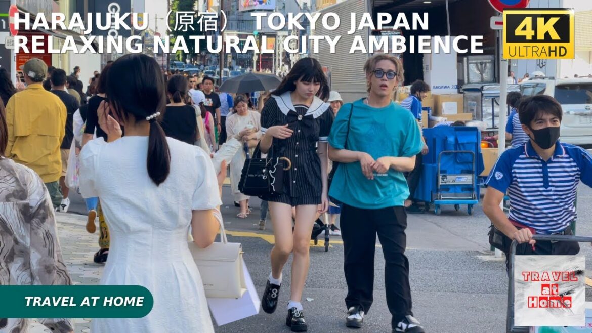 4k hdr japan travel | Walk in Harajuku（原宿）Tokyo japan |  Relaxing Natural City ambience