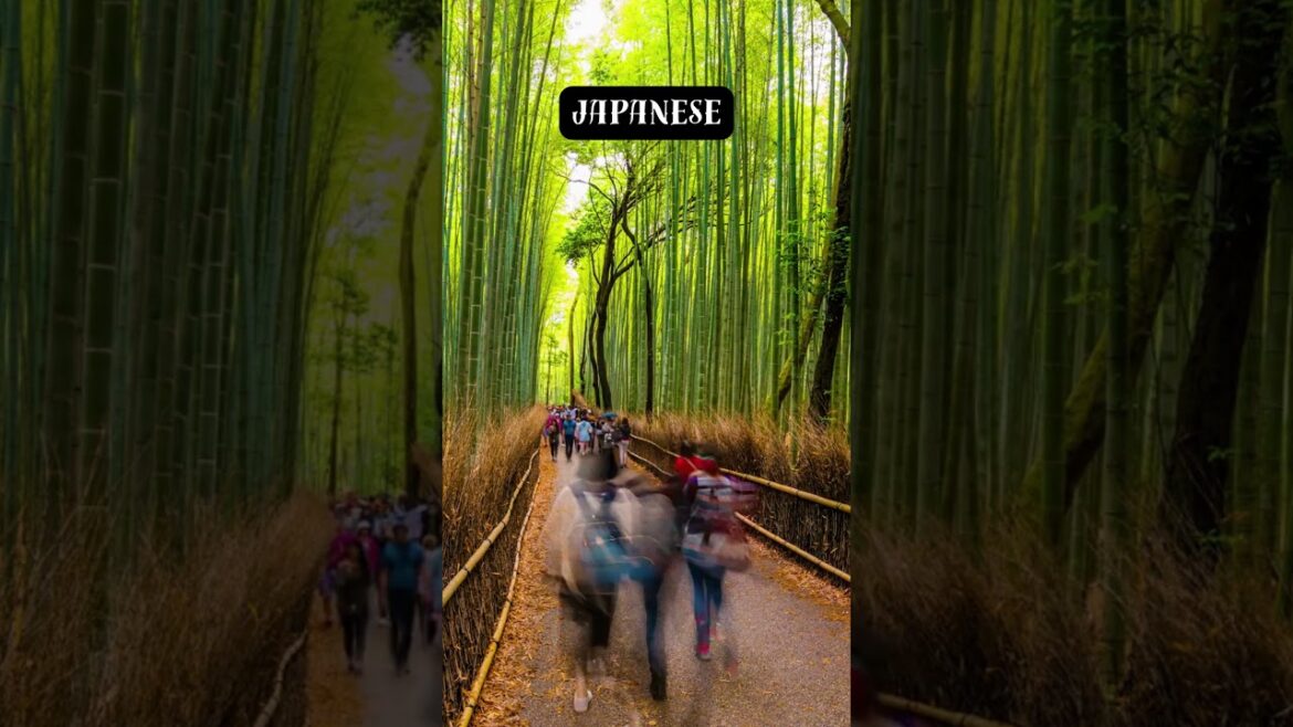 Visit Osaka #travel #explore #adventure #vacation