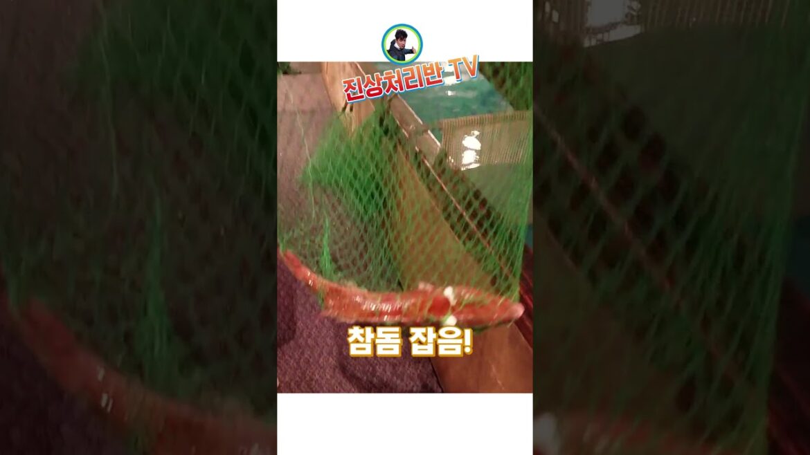 오사카 도톤보리 낚시해서 즉석에서 요리해주는 이자카야 고기 다 잡아버리니 쫒겨남!! 오사카 도톤보리 낚시해서 즉석에서 요리해주는 이자카야 고기 다 잡아버리니 쫒겨남!!