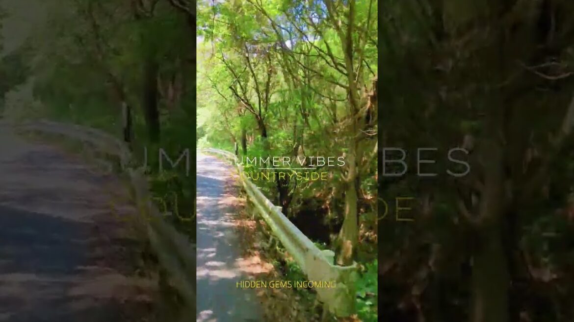 PLEINS DE LIEUX INSOLITES À VOUS MONTRER - JAPAN HIDDEN GEMS INCOMING #japon #tokyo #osaka #travel