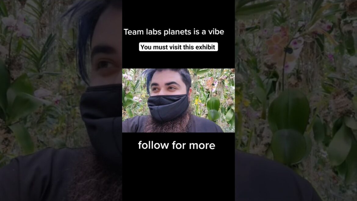 Japan 2023 itinerary idea : Team labs planets in Tokyo  #shorts #japan #japantrip