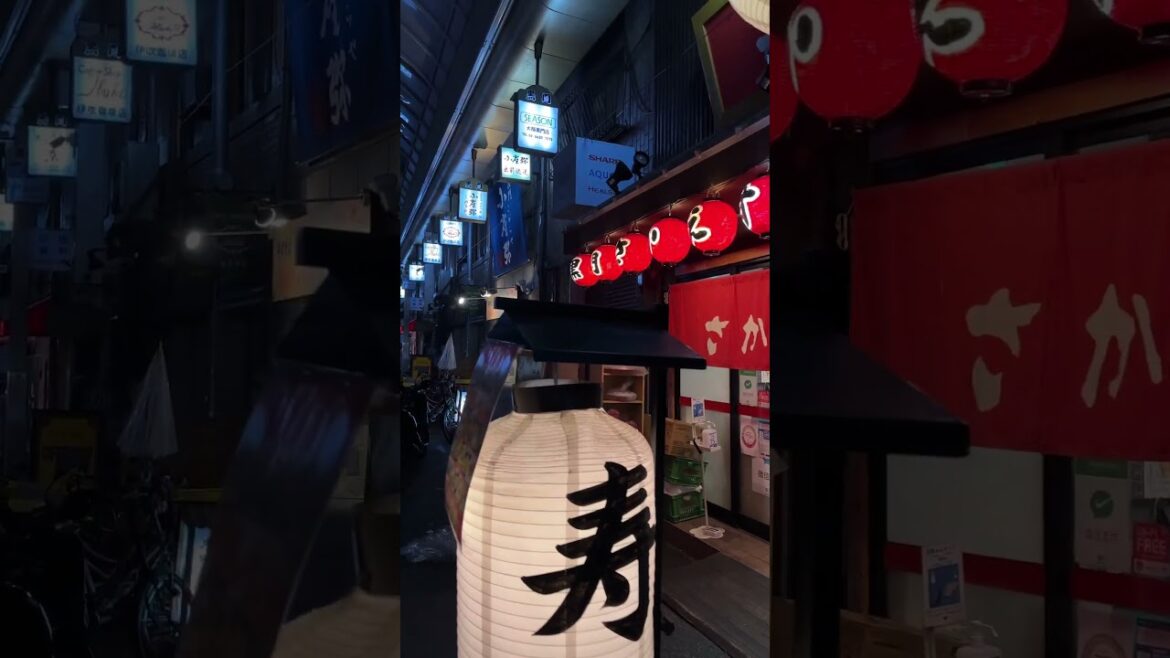 Walking at night in #osaka #japan #travel #2023 #trending #explore #thingstodo #placetovisit #shorts
