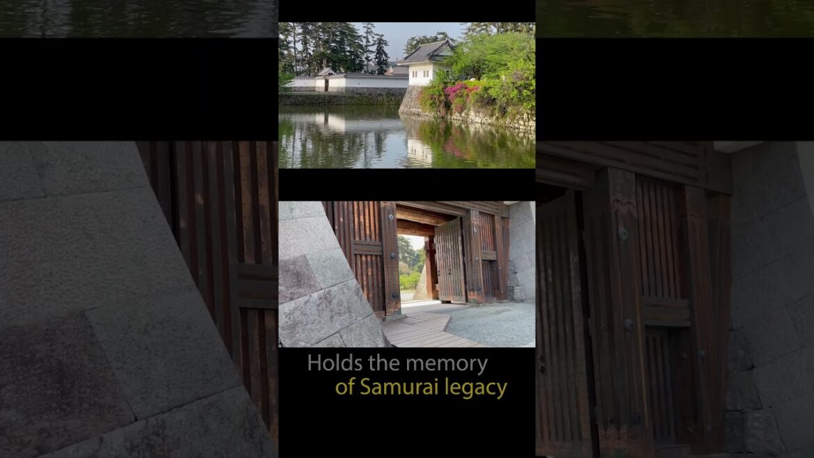 A short trip to Odawara Japan, a nice stop between Tokyo and Kyoto.