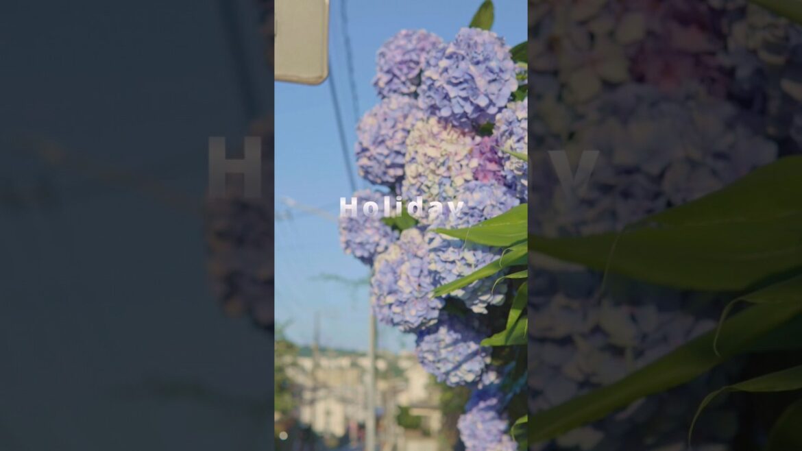 Holiday in Japan ๐พ. #travel #vlog#shots#japan#a79soul Holiday in Japan ๐พ. #travel #vlog#shots#japan#a79soul