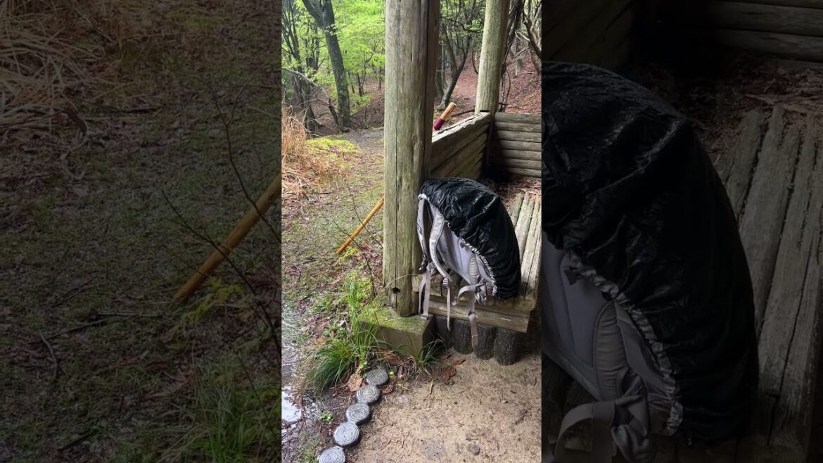 Solo hiking the #KumanoKodo in #Japan #NakahechiRoute #japan #japantravel #solotravel shorts Solo hiking the #KumanoKodo in #Japan #NakahechiRoute #japan #japantravel #solotravel shorts