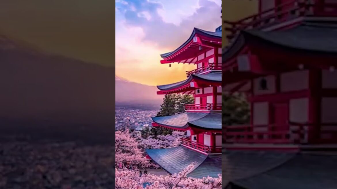 Tokyo city #shorts #travelvlog Tokyo city #shorts #travelvlog