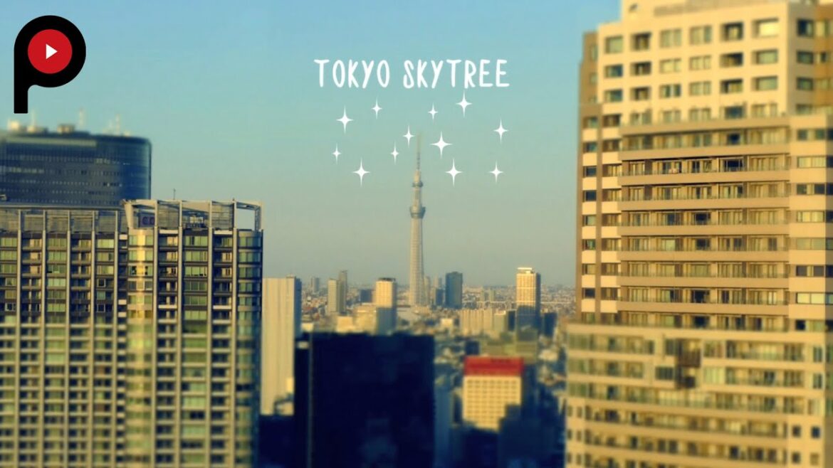 【 世界貿易センタービル 展望台 】World Trade Center Observatory 【 世界貿易センタービル 展望台 】World Trade Center Observatory