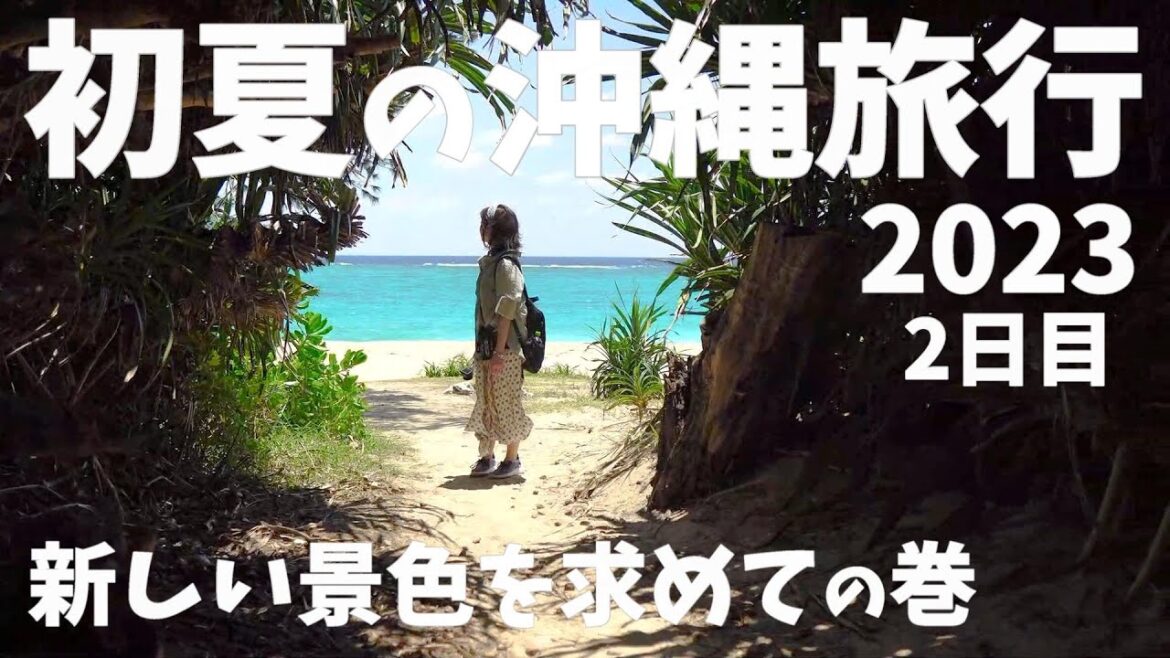 2023年 初夏の沖縄旅行 2泊3日 2日目 OKINAWA TRIP 2023 sony RX100 GoPro HERO7 2023年 初夏の沖縄旅行 2泊3日 2日目 OKINAWA TRIP 2023 sony RX100 GoPro HERO7
