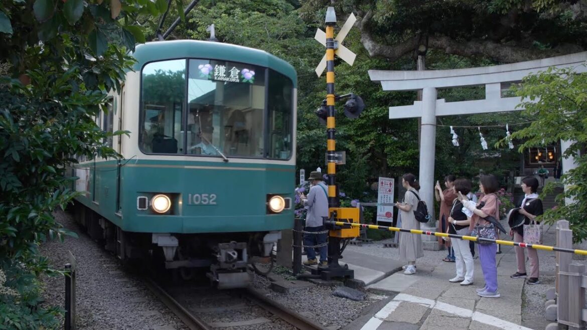 【4K Japan】Seaside town Kamakura, Temple on a hill overlooking the sea and Temple along the railroad.