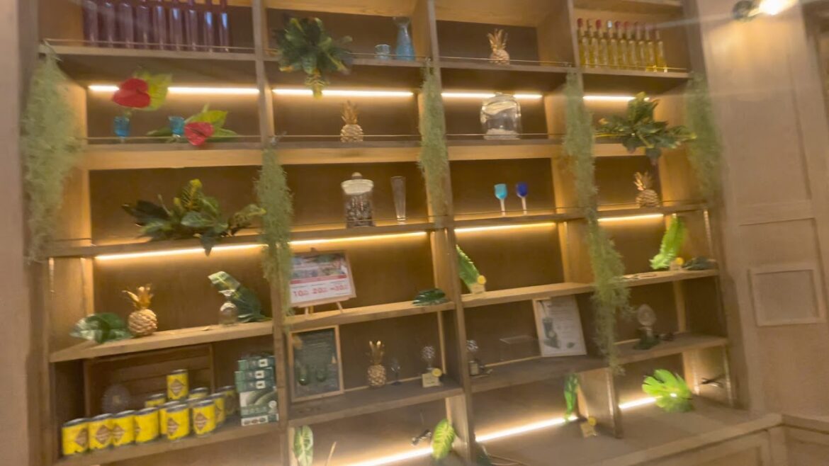 Nago pineapple Park Winery動画 2021 02 25