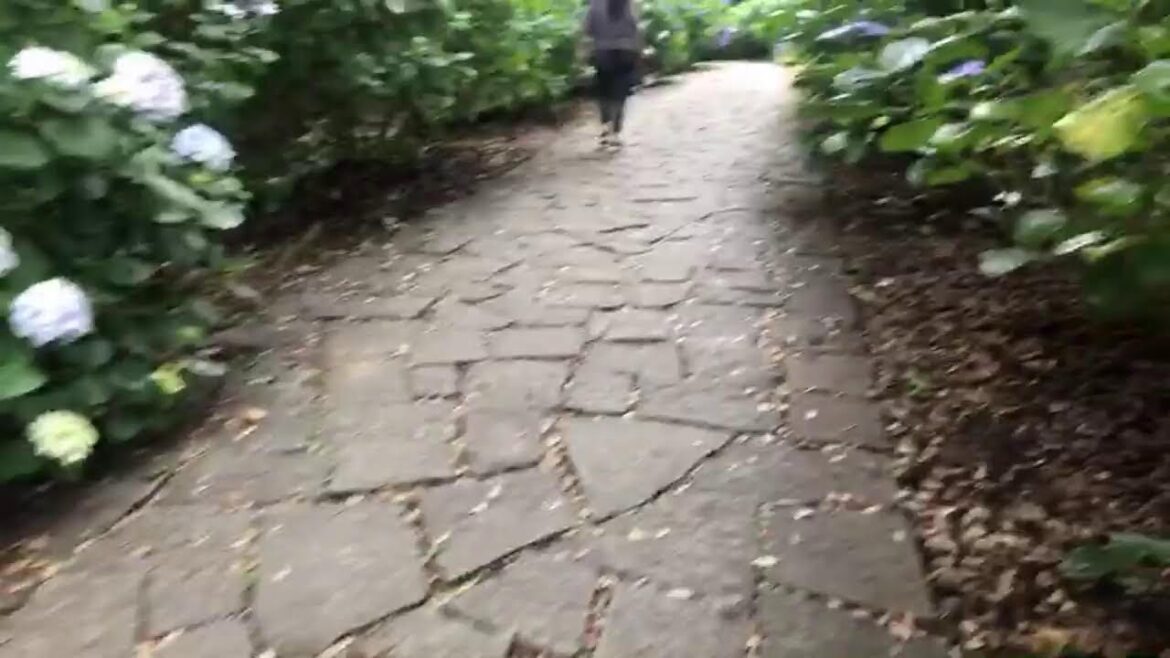 Lub ncaij ntuj nag in Japan