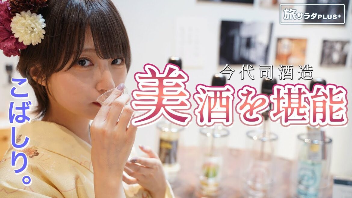 【こばしり。"美"を追及する新潟旅！】着物で街をぶらり 創業1767年の酒蔵で美酒を飲み比べ！