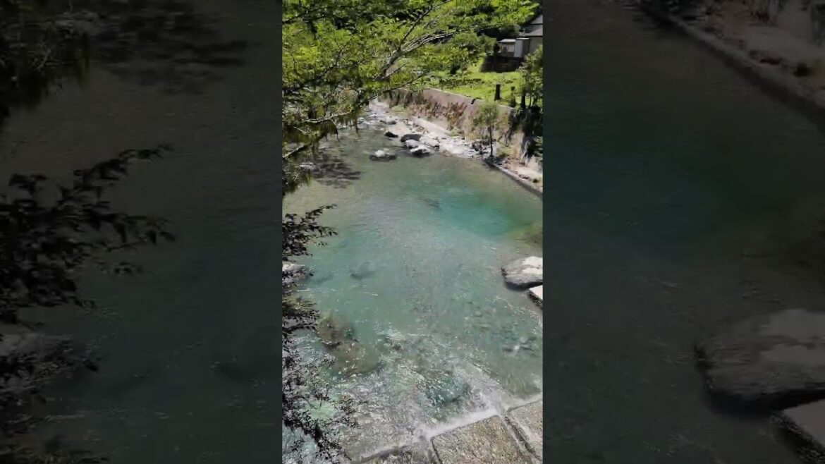 เที่ยวญี่ปุ่น แค่ได้ขับรถก็มีความสุขแล้ว ⛩️