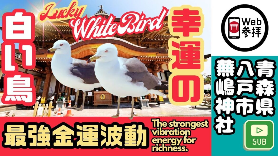 【奇跡体験】この動画が現れたら、金運上昇のチャンス。絶対に見逃さないでください！【CC】【4K】　English subtitle available, #Japan, #Shrine
