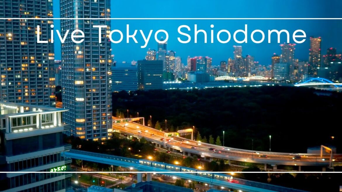 LIVE ゆりかもめと首都高速環状線と浜離宮公園/ Yurikamome Expressway and Tokyo Metropolitan Expressway 2023.6.14-15