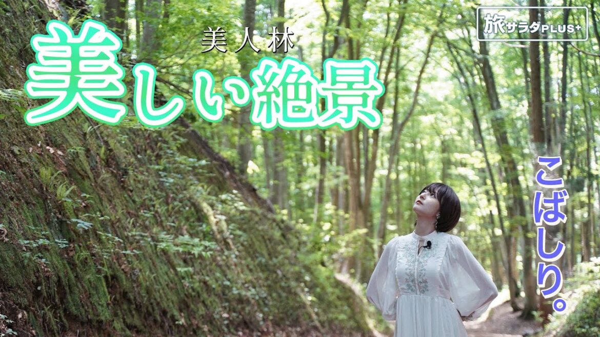 【こばしり。"美"を追及する新潟旅！】「美人林」や「清津峡」で絶景を満喫！美しい写真の撮り方ポイントも👀