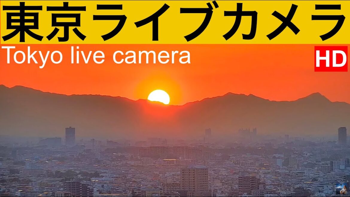 TOKYO LIVE CAMERA ,東京ライブカメラ, Línea Tokio, Tokyo Line, 东京现场摄像, 도쿄 라이브 카메라 TOKYO LIVE CAMERA ,東京ライブカメラ, Línea Tokio, Tokyo Line, 东京现场摄像, 도쿄 라이브 카메라