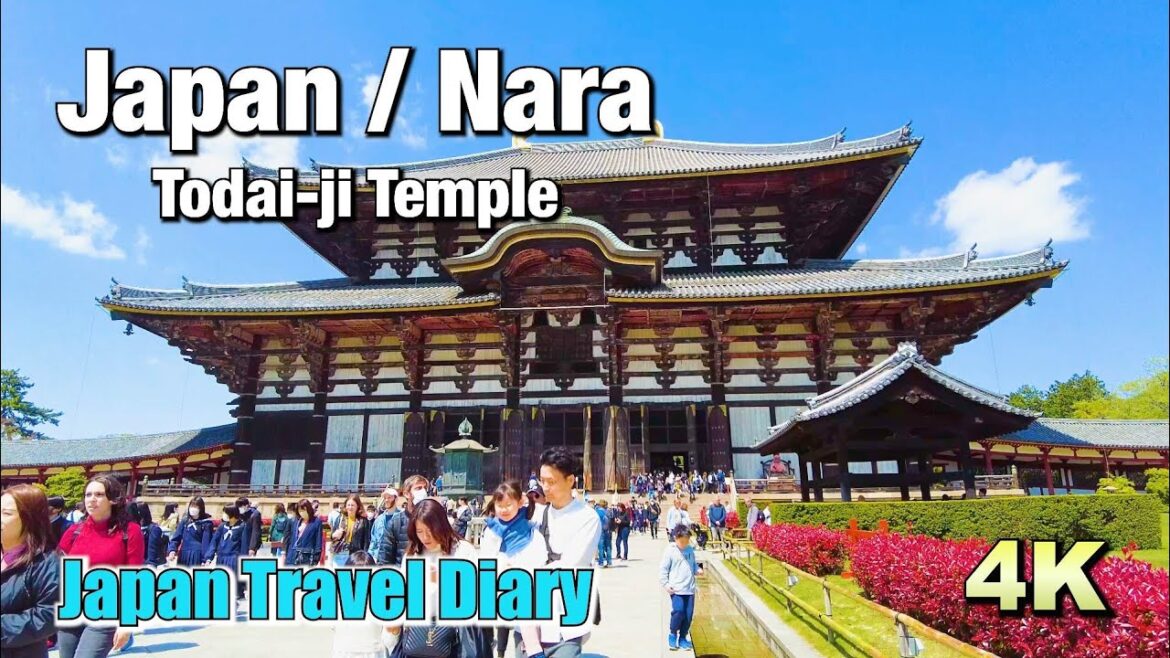 [4K] Travel Diary to "Todaiji Temple" in Nara | Japan 📗BGM ver.