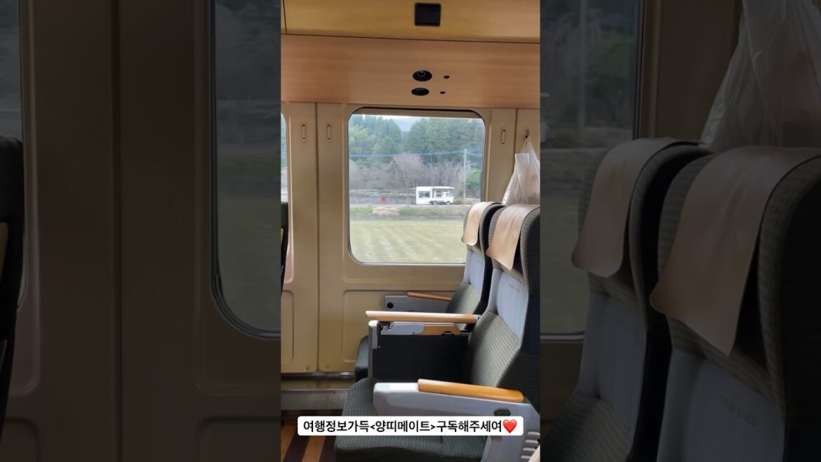 #후쿠오카 여행카메라로 기록하기 #인스탁스 #인스탁스미니에보#fukuoka #japan #camera #travel#광고