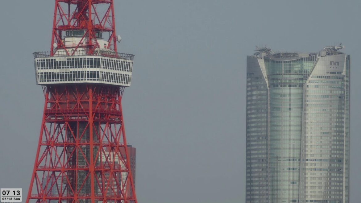 LIVE 東京タワー展望台と六本木ヒルズ屋上/2023.6.17-18