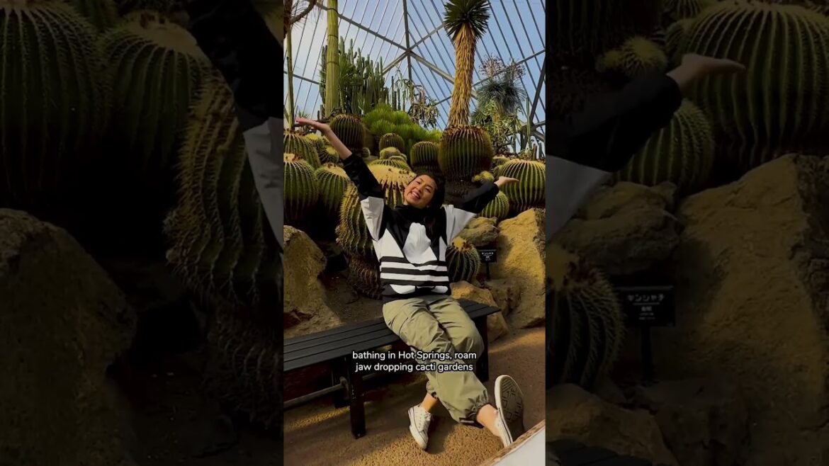 Discover Japan’s Hidden Gem: Izu – The Most Underrated Destination! Discover Japan's Hidden Gem: Izu - The Most Underrated Destination!