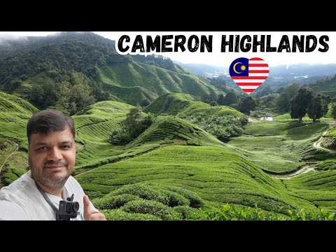CAMERON HIGHLANDS Malaysia, Top Places to visit, Strawberry Farm, Tea Plantations, Things to do CAMERON HIGHLANDS Malaysia, Top Places to visit, Strawberry Farm, Tea Plantations, Things to do