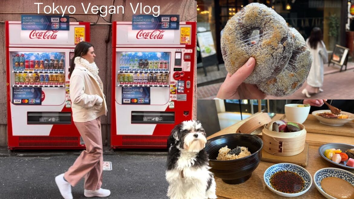 Being a vegan in Tokyo 🌱🫑 | Japan Vegan Travel - Part 14