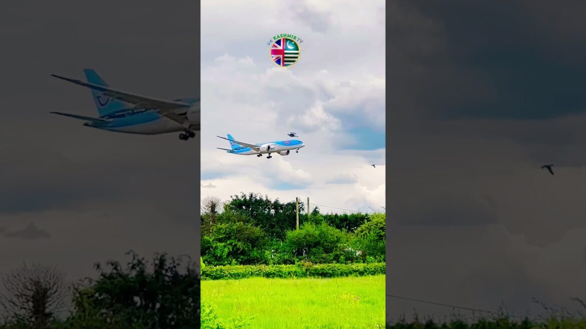 Bird Strikes During Landing #tui #birdstrike #shorts #youtubeshorts #shortsfeed #ytshorts