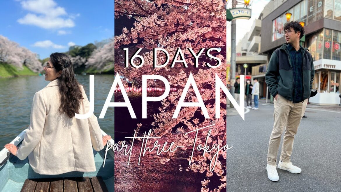 Japan Travel: Exploring Tokyo's Neighborhoods and Cherry Blossom Viewing (Part 3)