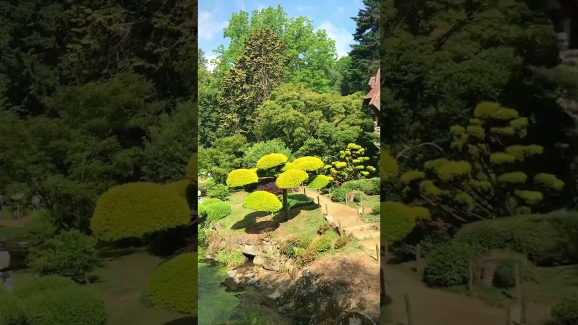 😲Japan in France? Secret place #traveladdict #travelblog #beautifuldestinations