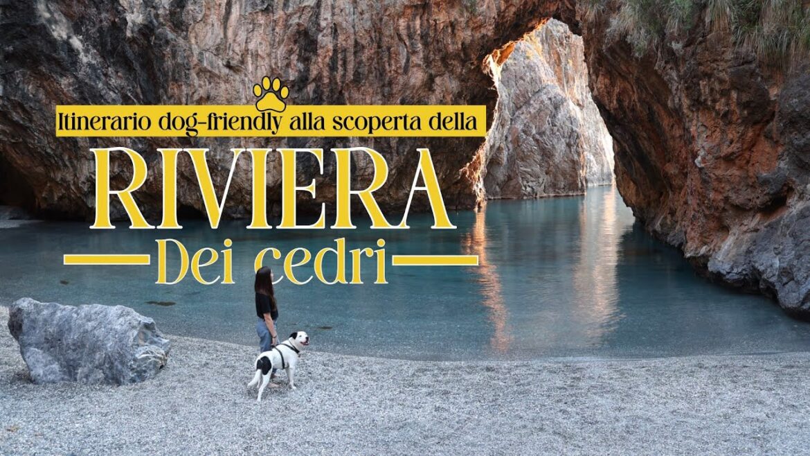 ITINERARIO DOG-FRIENDLY alla scoperta della RIVIERA DEI CEDRI
