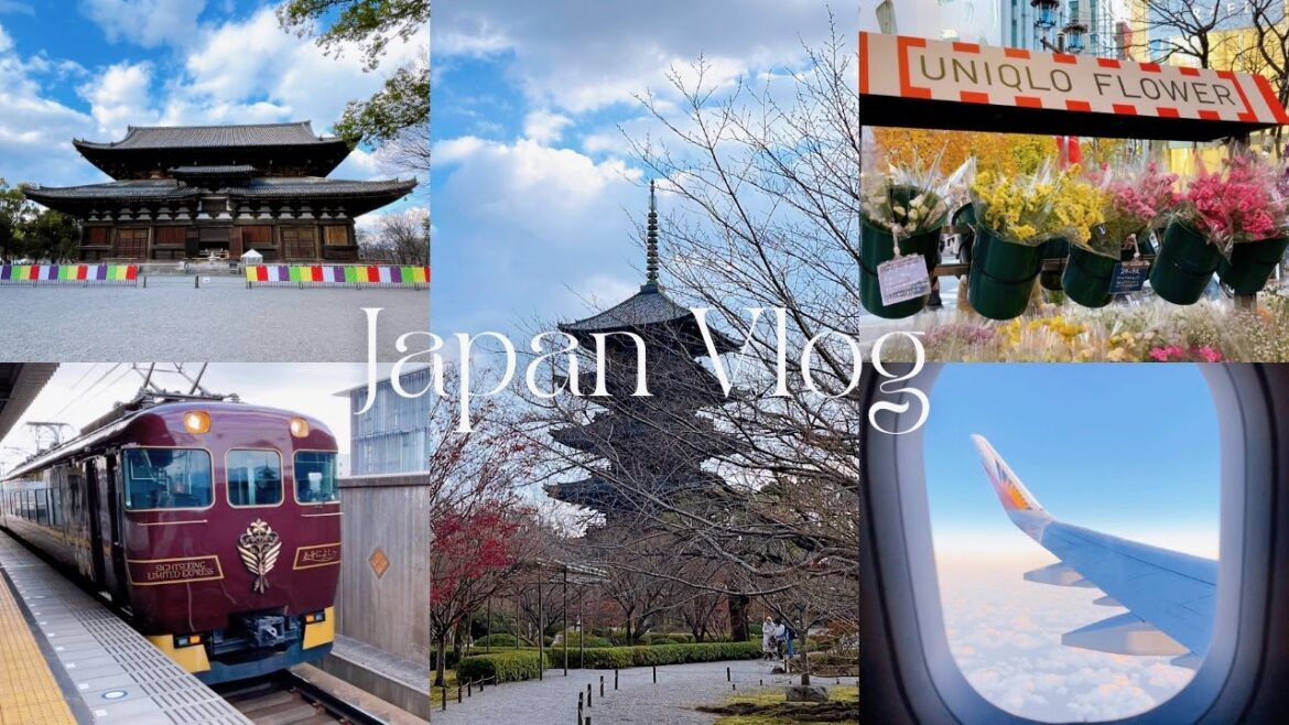 JAPAN VLOG π―π΅ Kyoto to Tokyo via Shinkansen | Japan Haul + Grocery and Food Tour | momeli vlog JAPAN VLOG π―π΅ Kyoto to Tokyo via Shinkansen | Japan Haul + Grocery and Food Tour | momeli vlog