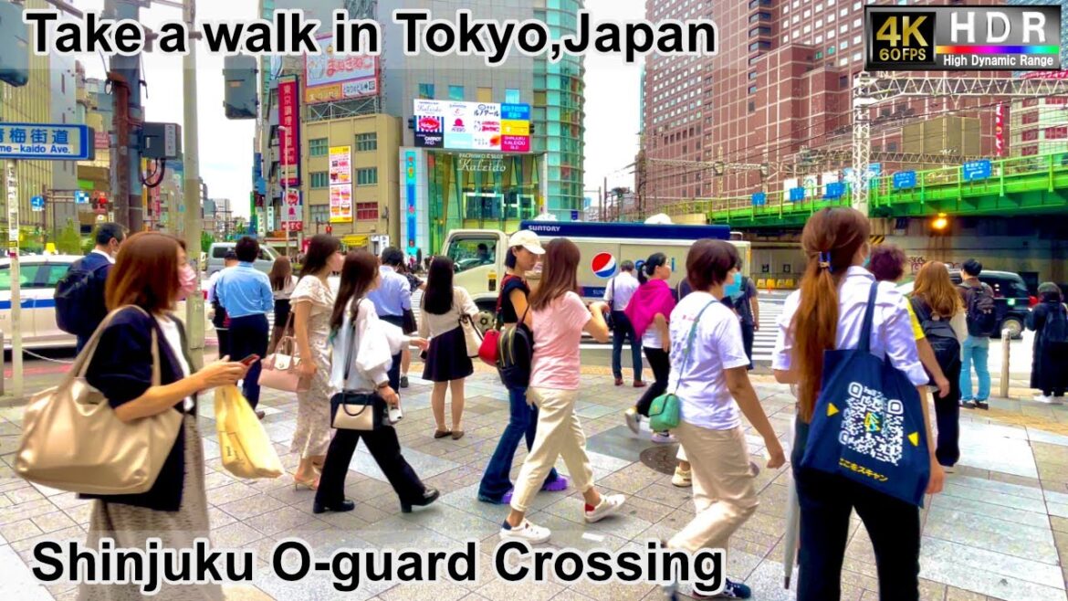 4K 60fps HDR// Take a walk in Tokyo, Japan, Shinjuku Sta.→O-guard intersection→Kotakibashi-dori Ave.