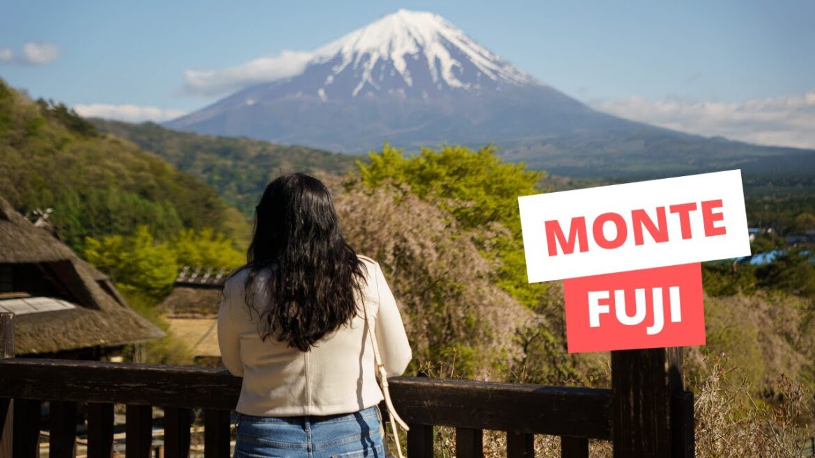 Tour do Monte Fuji saindo de Tokyo | Japão #3 Tour do Monte Fuji saindo de Tokyo | Japão #3