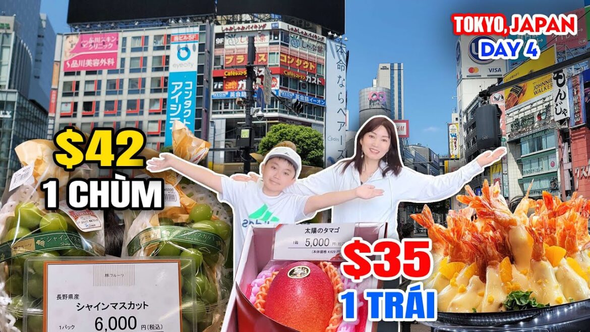 Thiên Đường Ẩm Thực dưới lòng đất Tokyo 😱 Đứng Tim với Giá Trái Cây ở Nhật | Du Lịch Tự Túc Thiên Đường Ẩm Thực dưới lòng đất Tokyo 😱 Đứng Tim với Giá Trái Cây ở Nhật | Du Lịch Tự Túc