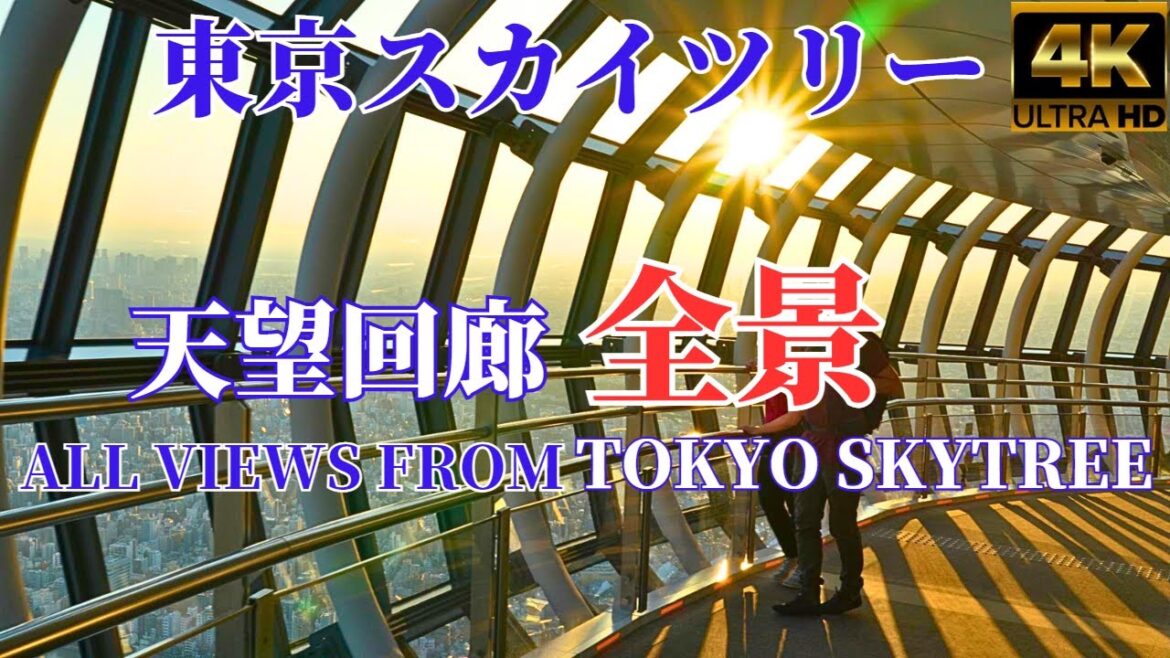 【絶景マジックアワー】東京スカイツリー2023★全景/夜景★