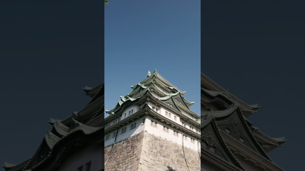 Nagoya Castle 名古屋城,  Aichi Prefecture #shorts