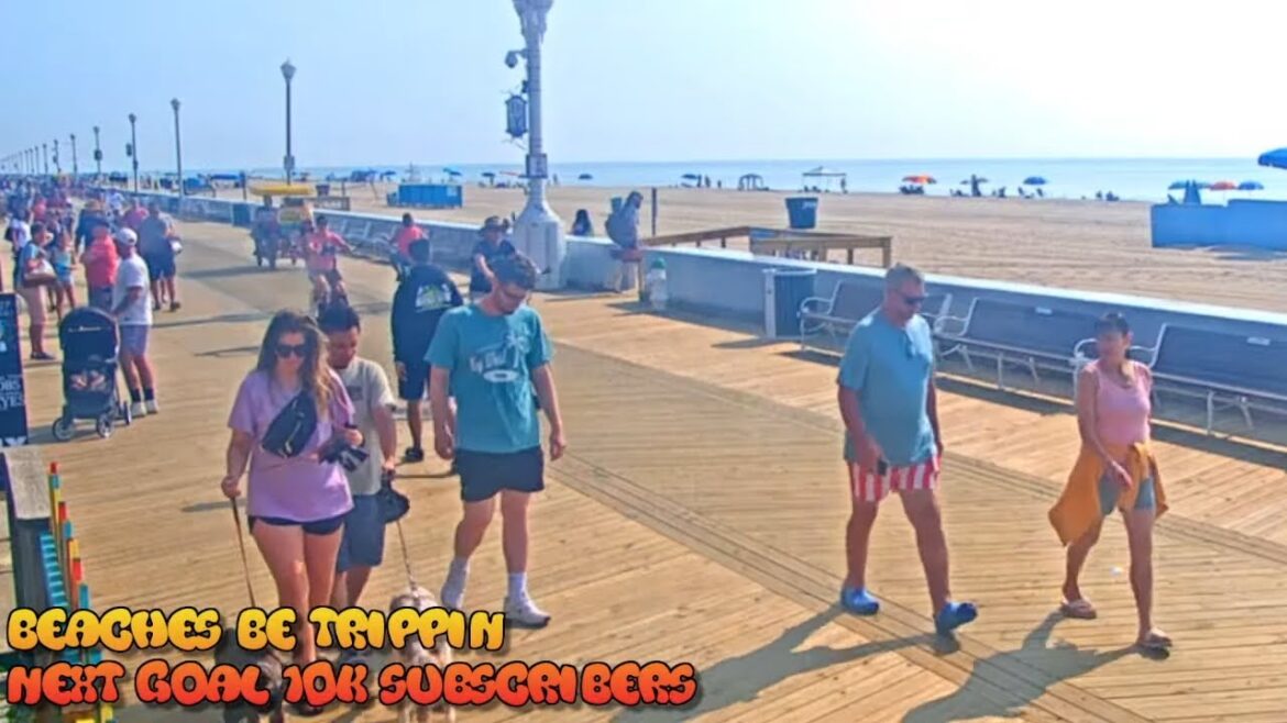 Ocean City Maryland Live Webcam | Maryland beach live webcam | ocean city boardwalk live cam Ocean City Maryland Live Webcam | Maryland beach live webcam | ocean city boardwalk live cam