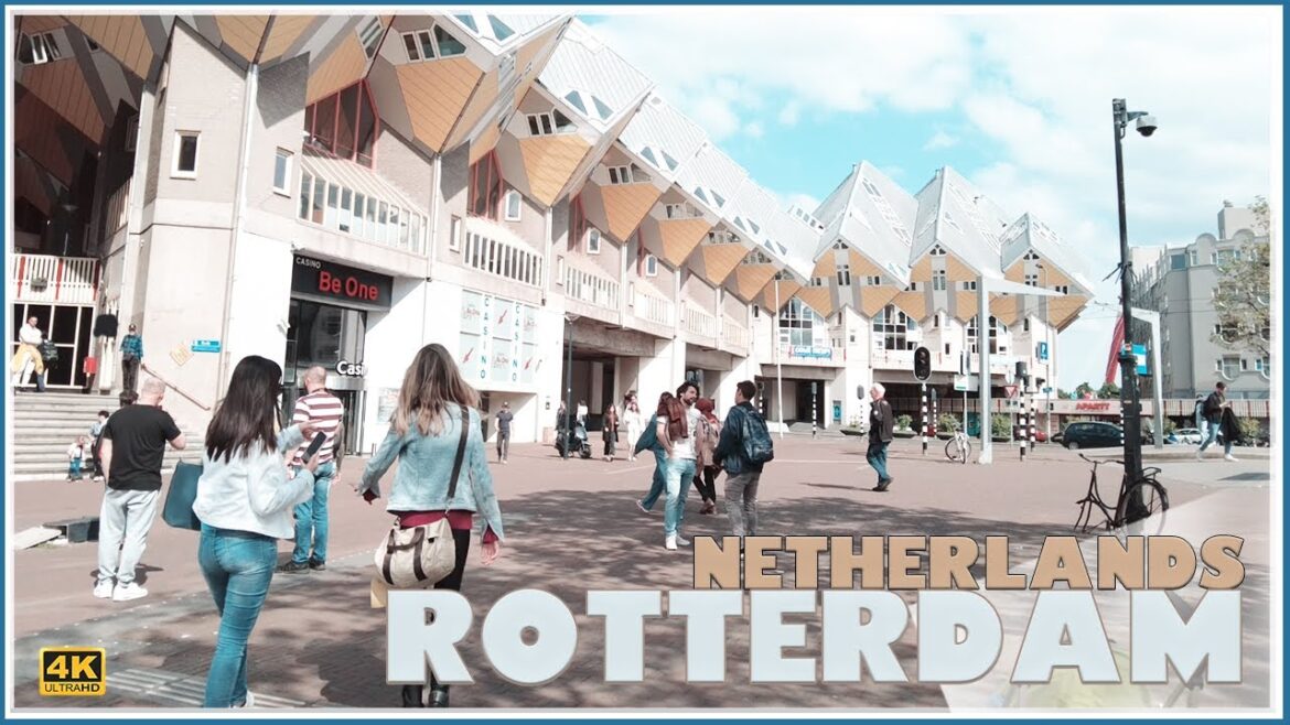 Discover Rotterdam: A Walking Tour Of The City Center In 4k Ultra Hd