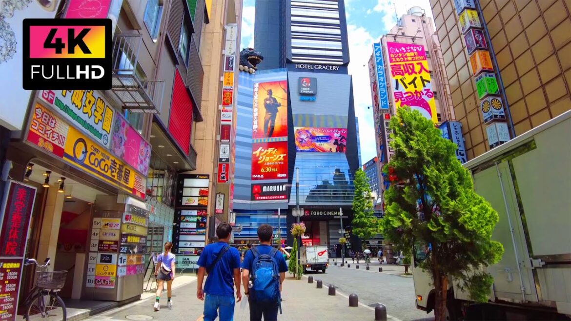 【4K】新宿駅から新大久保駅まで散歩 (Jun. 2023) | Walk from Shinjuku Station to Shin-Okubo Station. 【4K】新宿駅から新大久保駅まで散歩 (Jun. 2023) | Walk from Shinjuku Station to Shin-Okubo Station.
